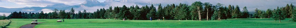 header-golf