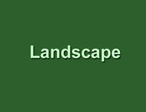 Landscaping