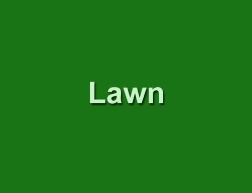 Lawn Care Season