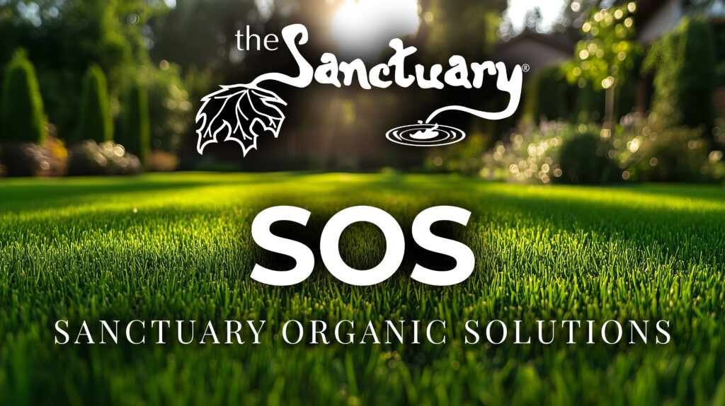 Sanctuary-SOS-Header